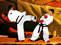 Taekwon-Do para xogar en liña